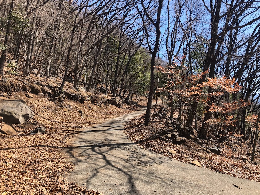 大蔵経寺山登山ルート1K