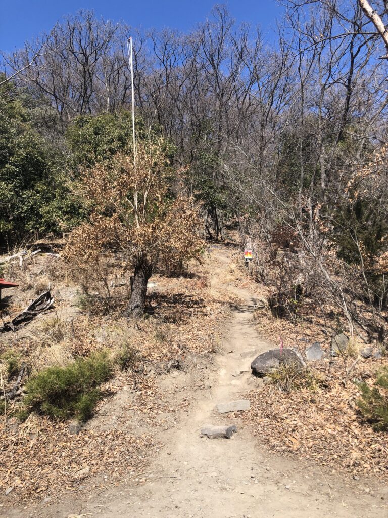 大蔵経寺山の登山道