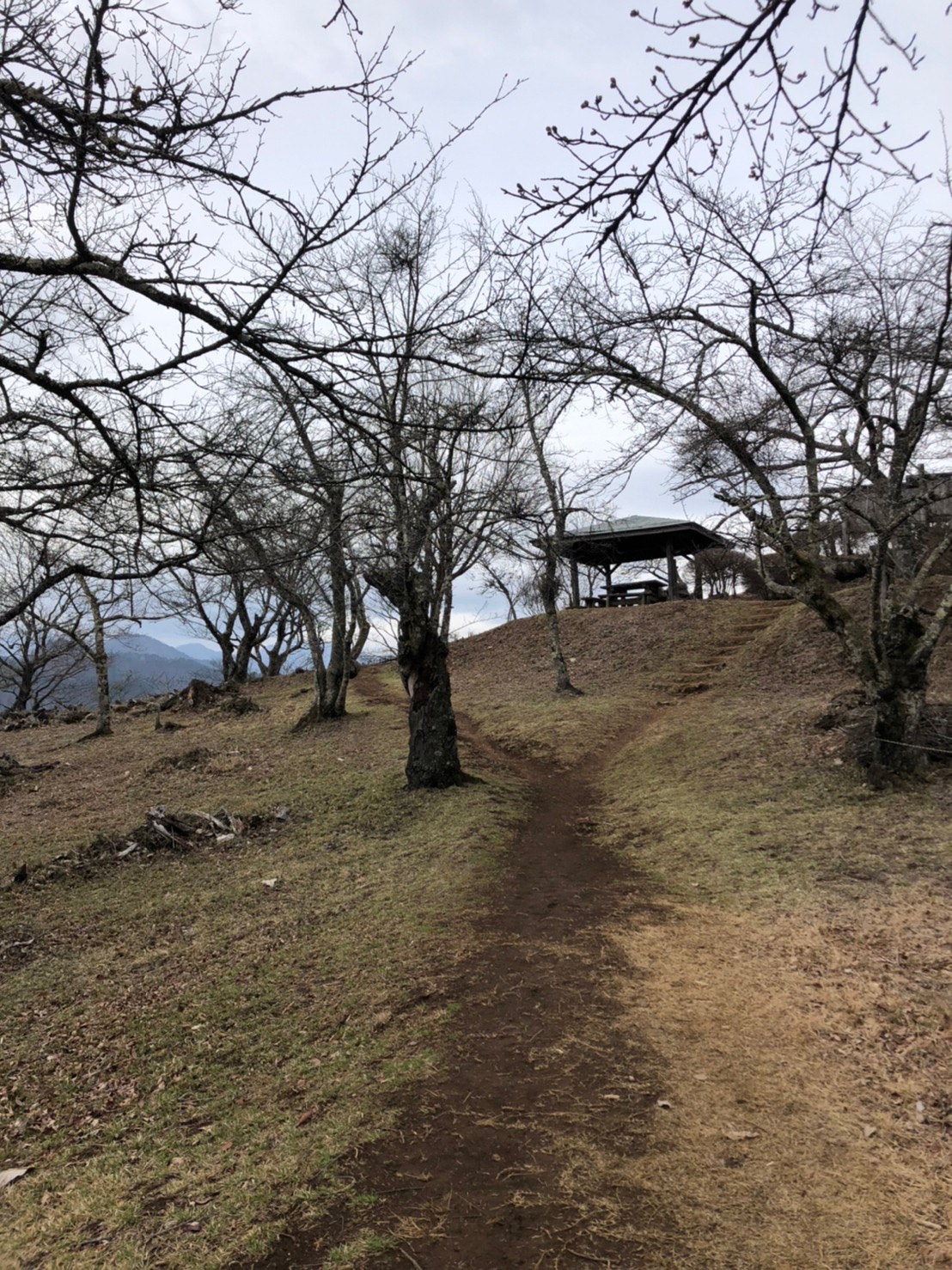 岩殿山山頂地点