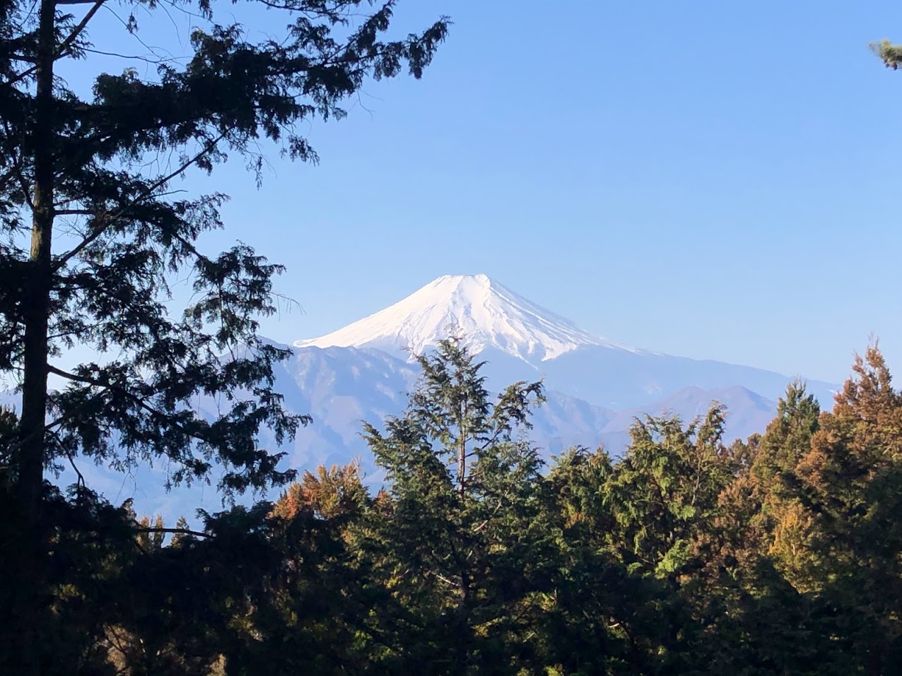 山頂より富士山