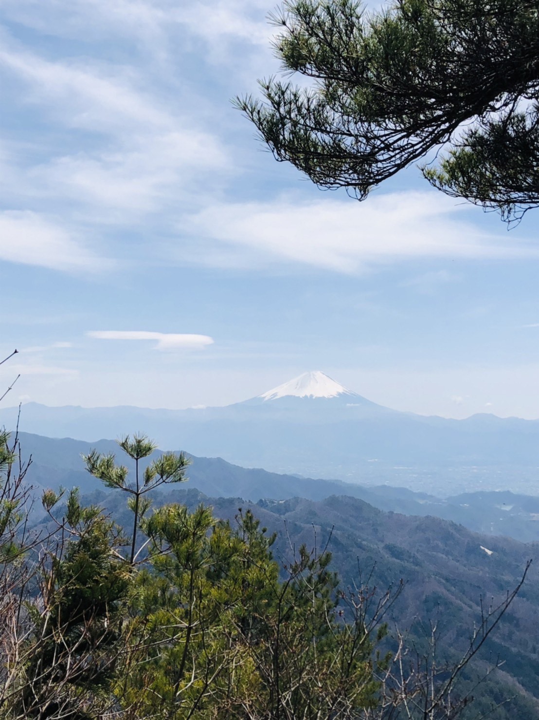 太刀岡山山頂