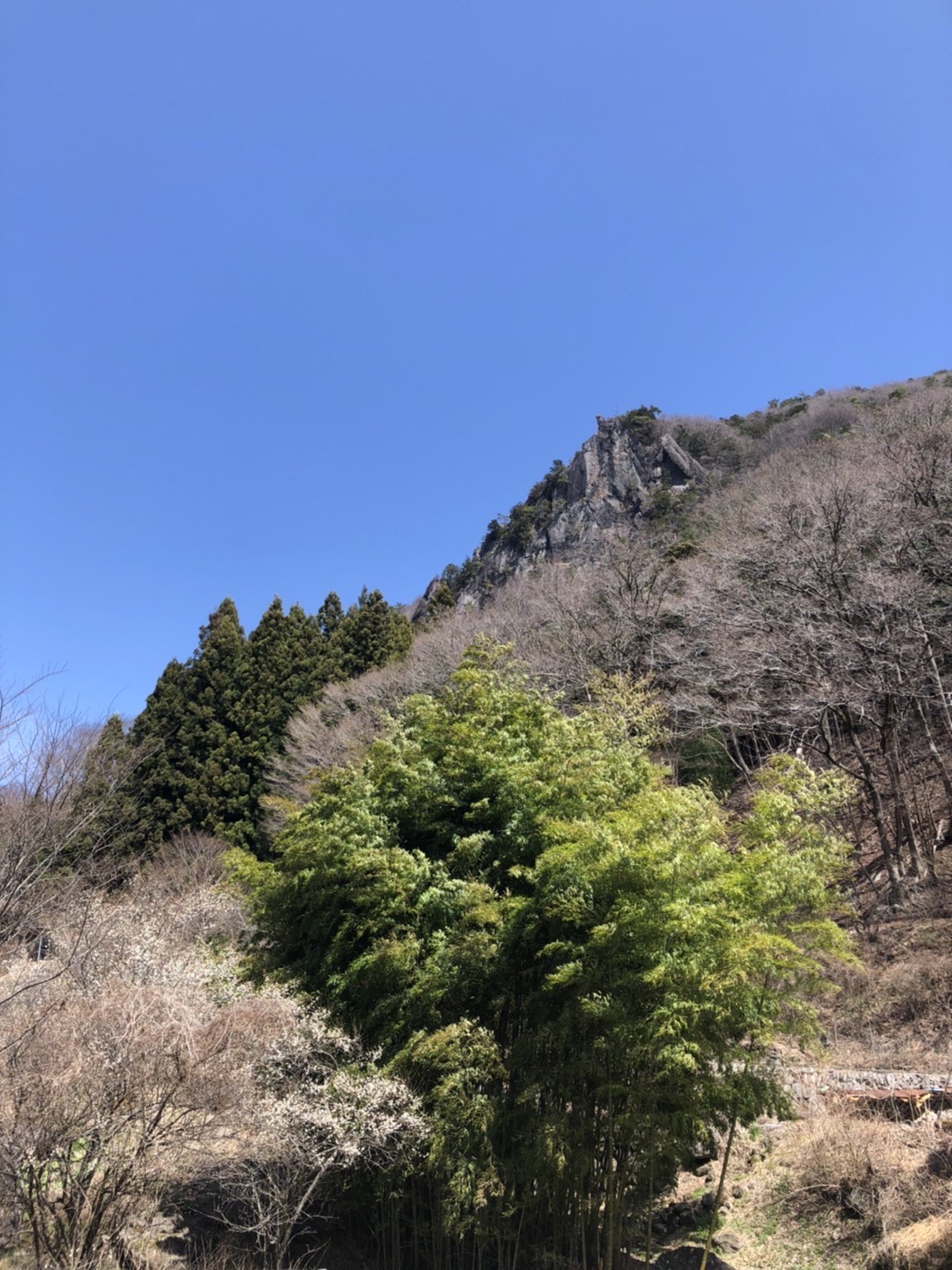 太刀岡山　岩