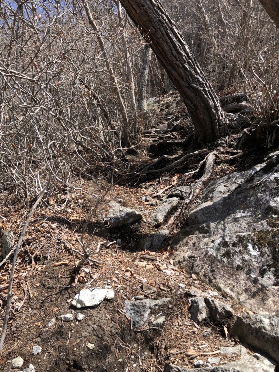 太刀岡山登山ルート