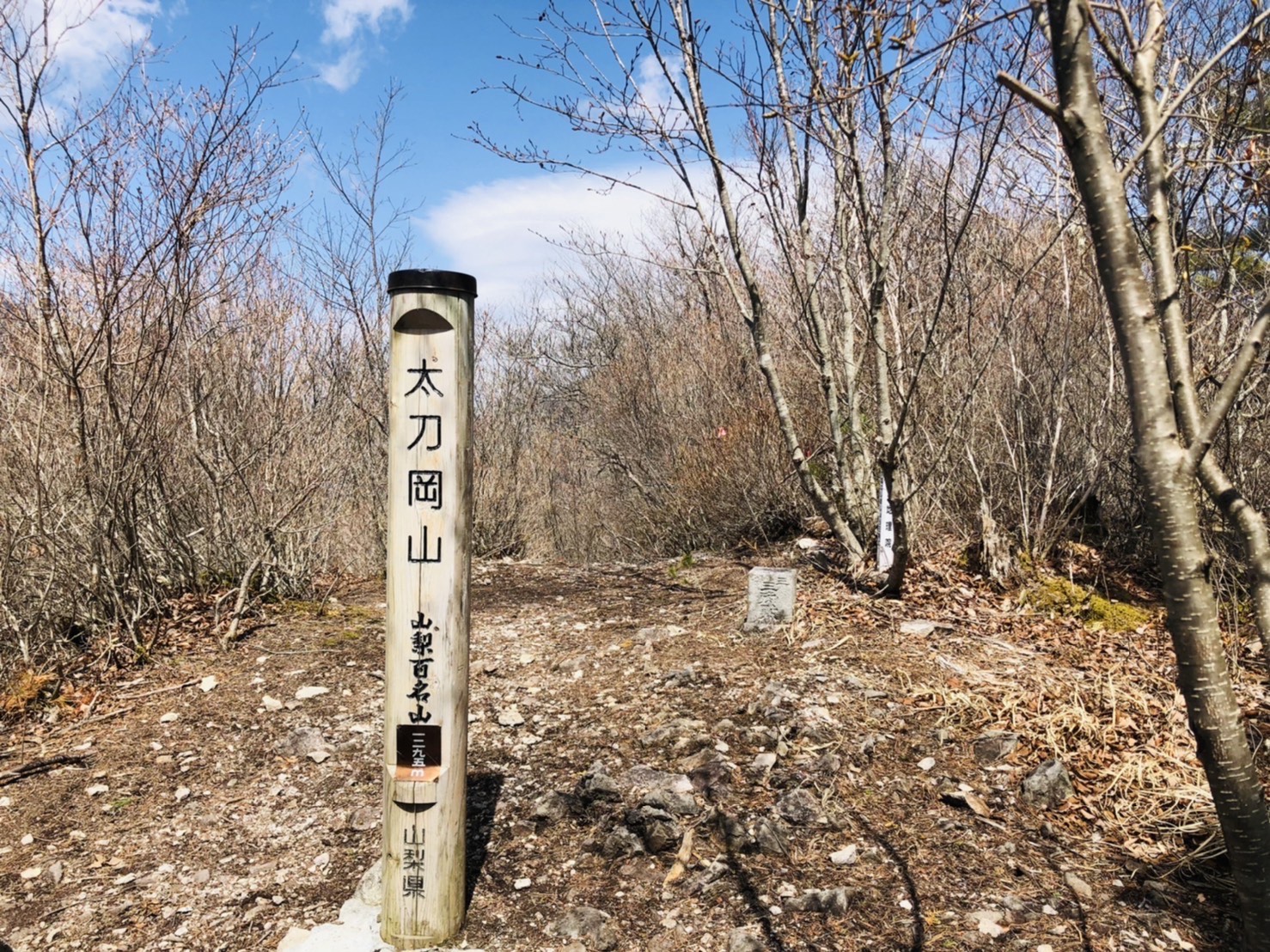 太刀岡山山頂