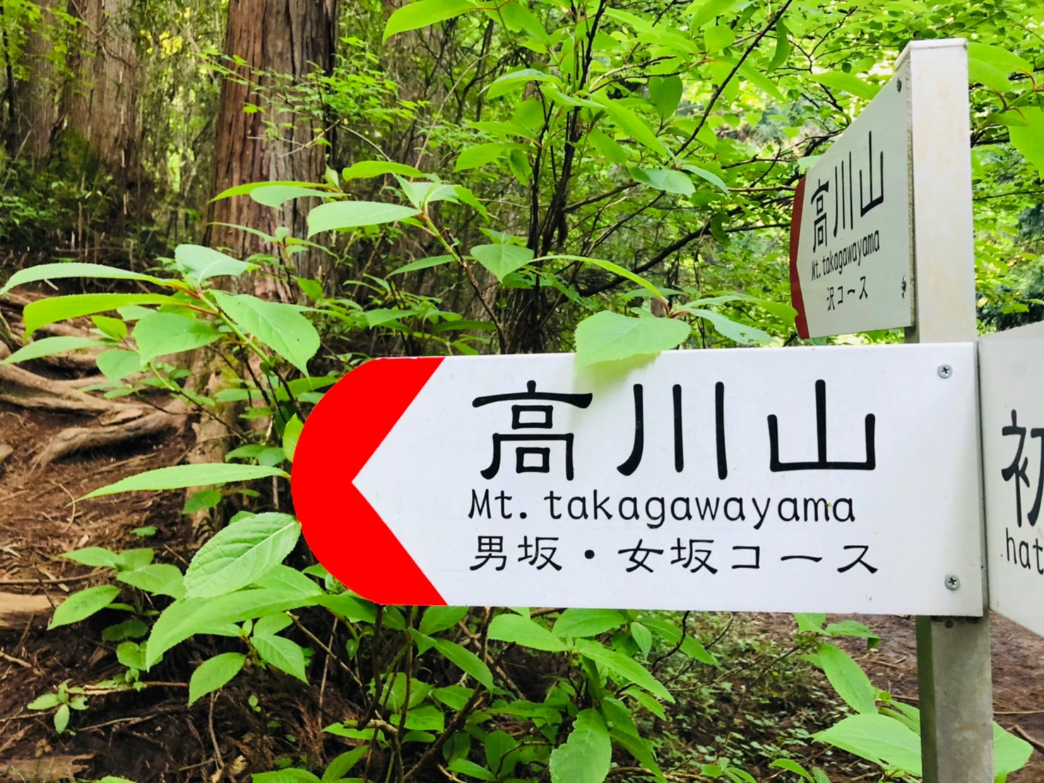 高川山分岐