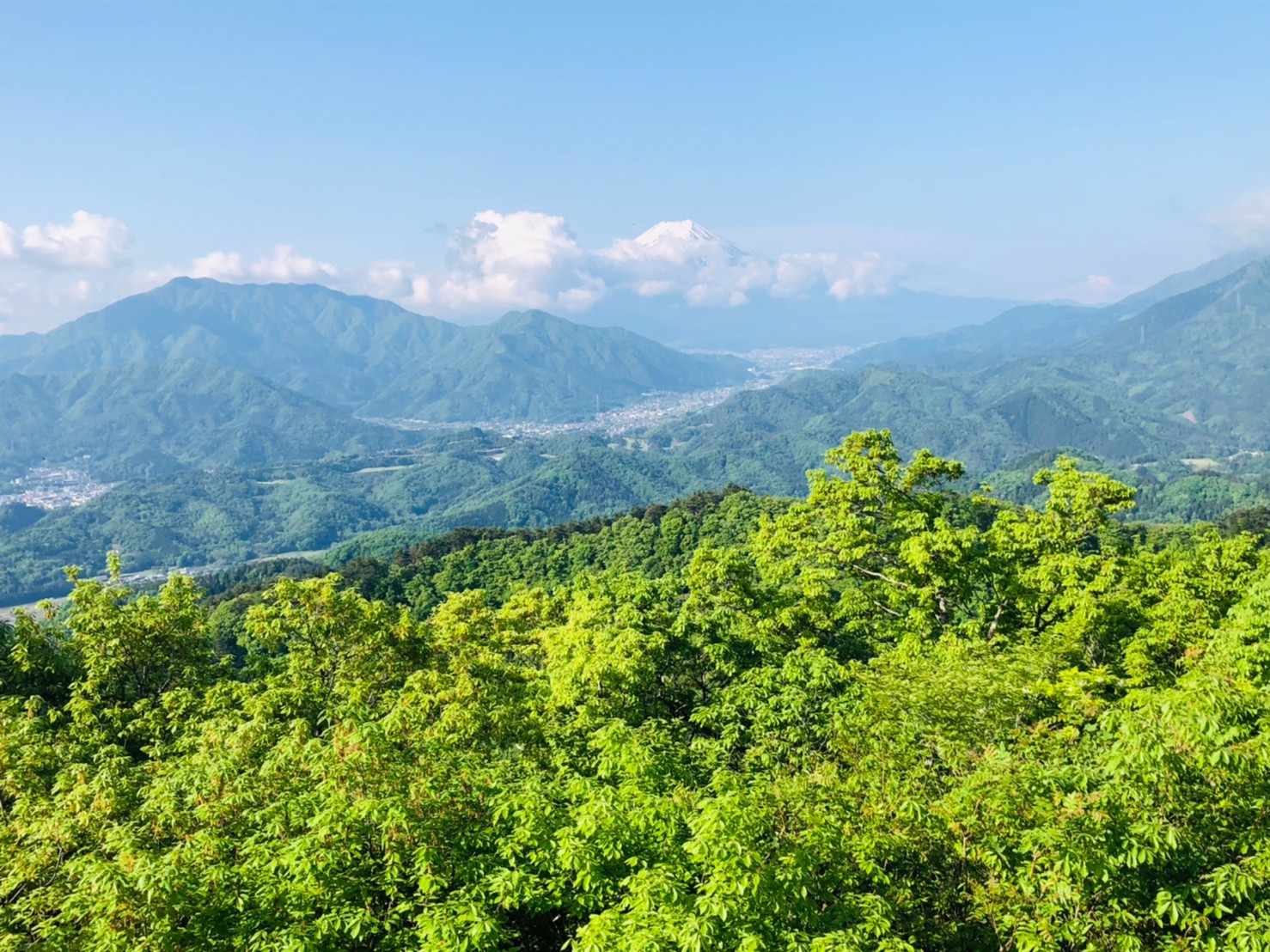 高川山から富士山