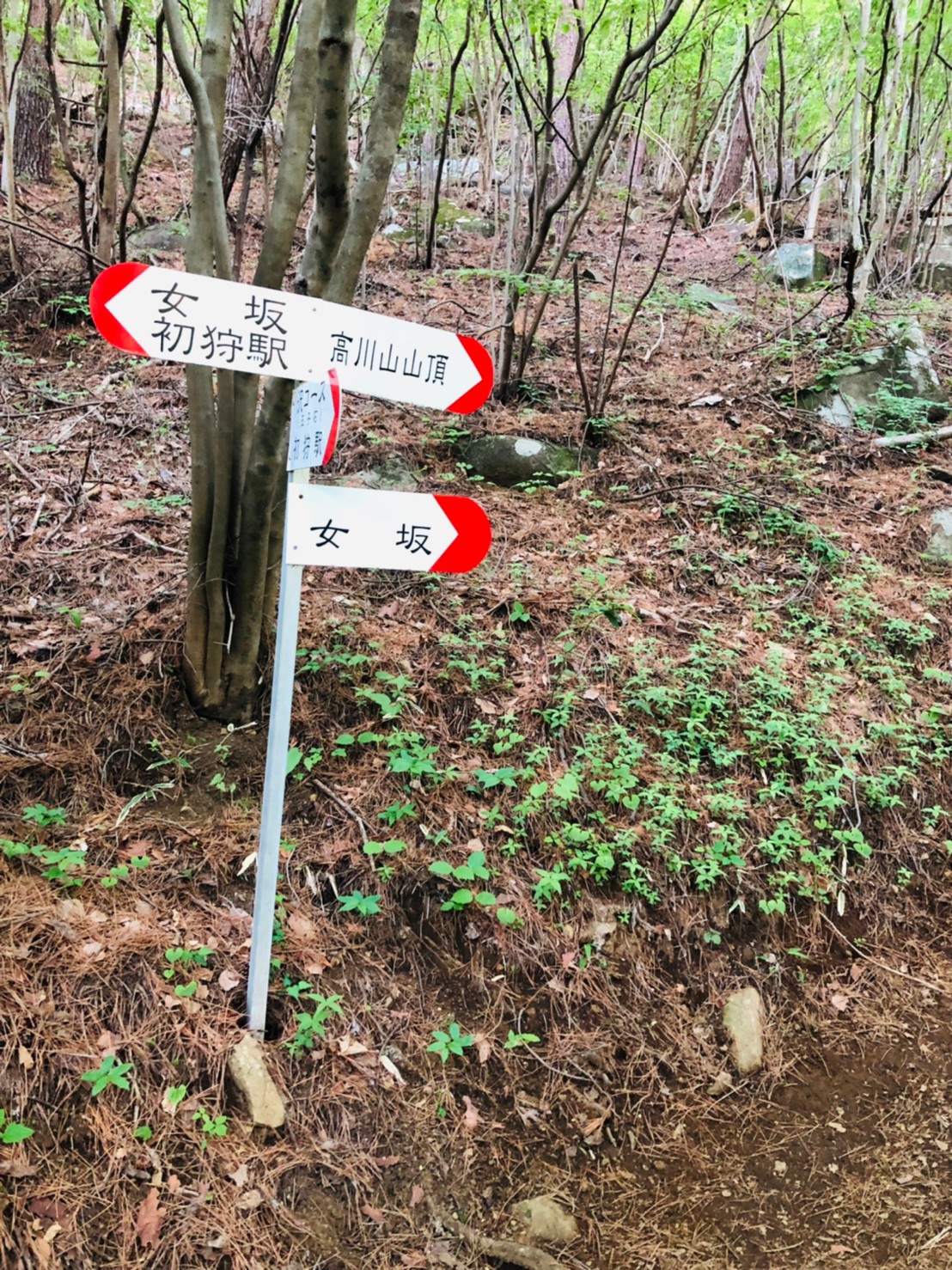 高川山分岐点