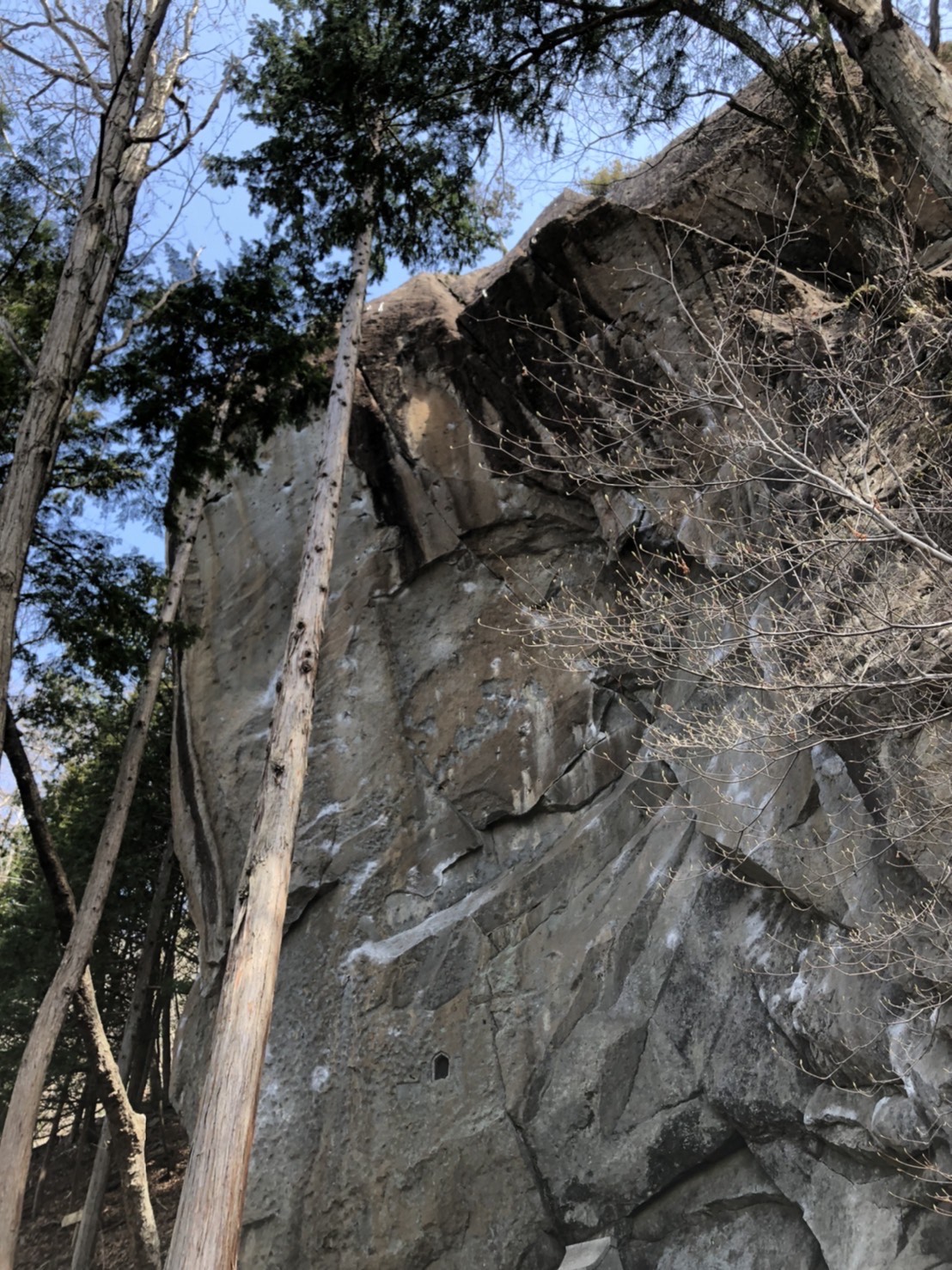 太刀岡山登山道