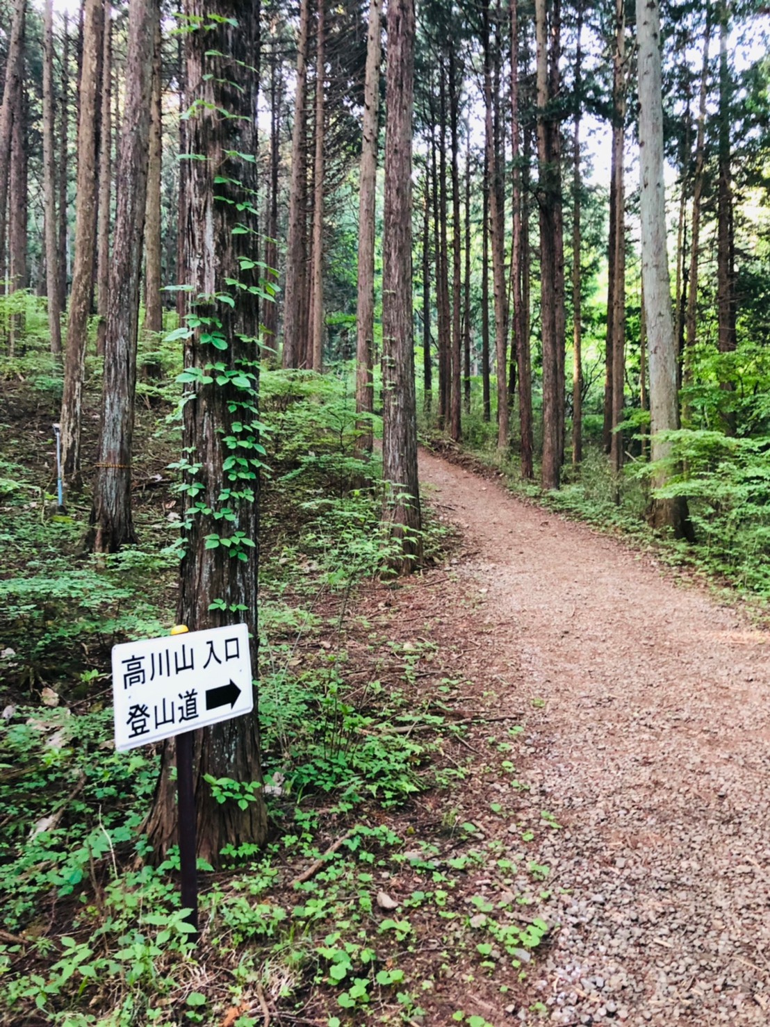 高川山